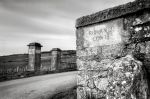 Romanee Conti 8869.jpg